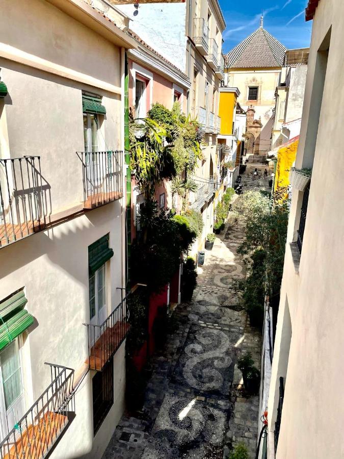 Paloma Solarium Centro Historico Apartament Malaga